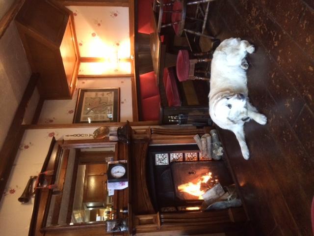 The Bay Horse Hotell York Eksteriør bilde